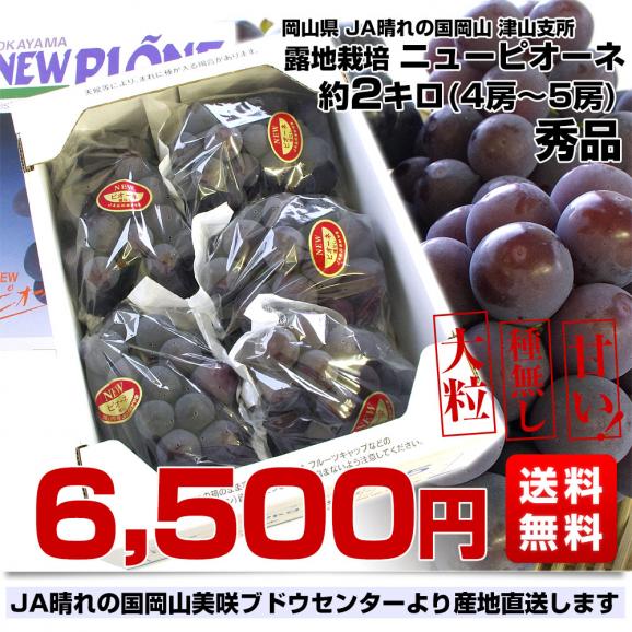 岡山県より産地直送 JA晴れの国岡山 津山支所 ニューピオーネ 秀品 約2キロ (4房から5房) 露地栽培 葡萄 送料無料 ぶどう ブドウ03