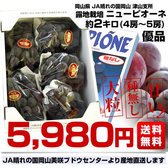 岡山県より産地直送 JA晴れの国岡山 津山支所 ニューピオーネ 優品 約2キロ (4房から5房) 露地栽培 ご家庭用  送料無料  葡萄 ぶどう ブドウ03