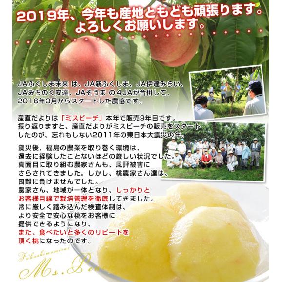 福島県より産地直送 JAふくしま未来 ミスピーチ「黄金桃」 約2キロ（5玉から8玉） 桃 もも 送料無料04