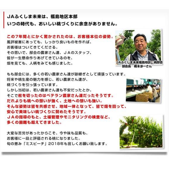 福島県より産地直送 JAふくしま未来 ミスピーチ「黄金桃」 約2キロ（5玉から8玉） 桃 もも 送料無料06
