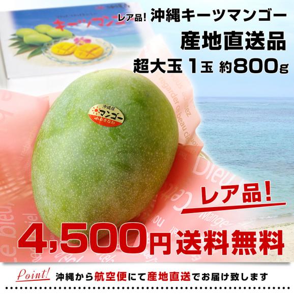 送料無料 沖縄県より産地直送 JAおきなわ キーツマンゴー 約800g 化粧箱 まんごー 送料無料03