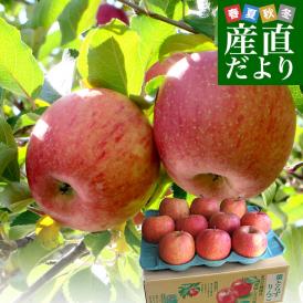 青森県から産地直送 JAつがる弘前 葉とらず太陽ふじりんご 3キロ(9玉から13玉) 糖度13度以上 林檎 リンゴ 送料無料