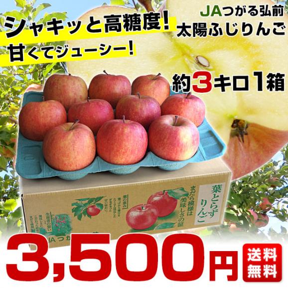 青森県から産地直送 JAつがる弘前 葉とらず太陽ふじりんご 3キロ(8玉から13玉) 糖度13度以上 林檎 リンゴ 送料無料　ギフト03