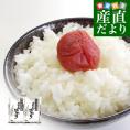 令和5年産　新潟県　魚沼産 ＜新米＞ こしひかり　10キロ（5キロ×2袋） 送料無料　お米　新潟県米　にいがた　ニイガタ