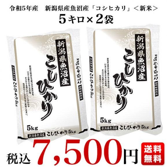 令和5年産　新潟県　魚沼産 ＜新米＞ こしひかり　10キロ（5キロ×2袋） 送料無料　お米　新潟県米　にいがた　ニイガタ03