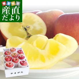 山形県より産地直送 山形朝日町APPLES 蜜入りんご「こうとく」 特秀 2キロ(7玉から12玉) 林檎 送料無料