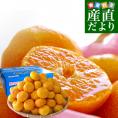 愛媛県より産地直送 JAにしうわ 日の丸みかん ガキ大将 LからＳサイズ 5キロ(40玉から60玉) 送料無料   蜜柑 ミカン