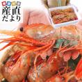 北海道から発送 船上凍結ボタン海老 (ロシア産) 超巨大サイズ 約1キロ(14尾から18尾) 送料無料 牡丹 エビ