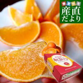 愛媛県より産地直送 JAにしうわ 紅まどんな 2LからLサイズ 3キロ(12玉から15玉) オレンジ おれんじ  送料無料　お歳暮 御歳暮