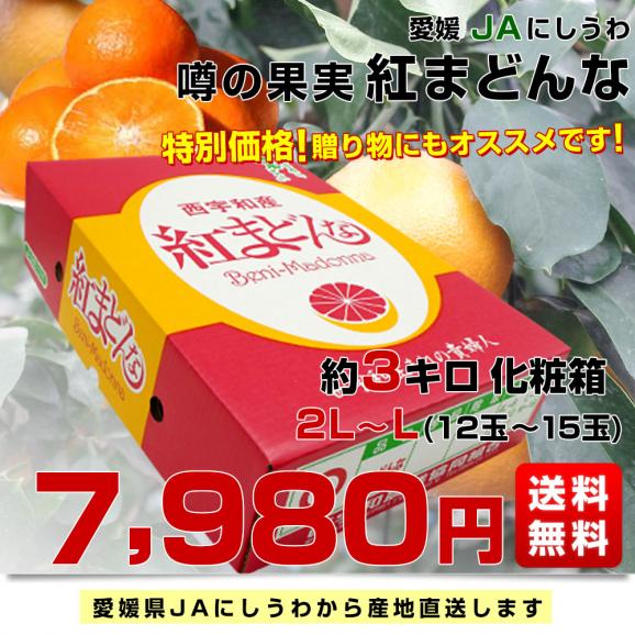 愛媛県より産地直送 JAにしうわ 紅まどんな 2LからLサイズ 3キロ(12玉から15玉) オレンジ おれんじ  送料無料　お歳暮 御歳暮03