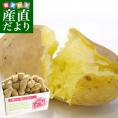 北海道より産地直送 北海道十勝産 じゃがいもメークイン 大小込 約10キロ めーくいん 送料無料