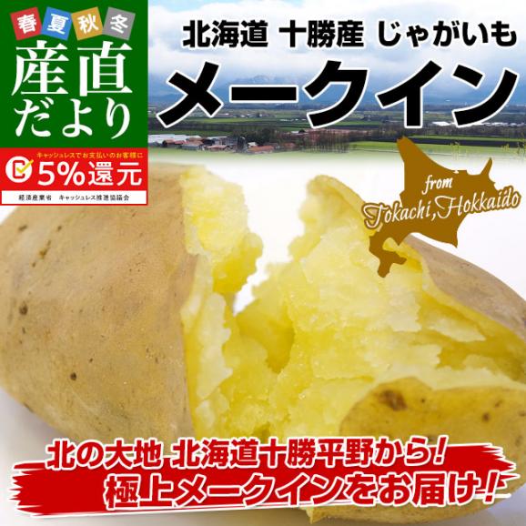 北海道より産地直送 北海道十勝産 じゃがいもメークイン 大小込 約10キロ めーくいん 送料無料02