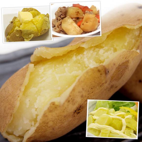 北海道より産地直送 北海道十勝産 じゃがいもメークイン 大小込 約10キロ めーくいん 送料無料04