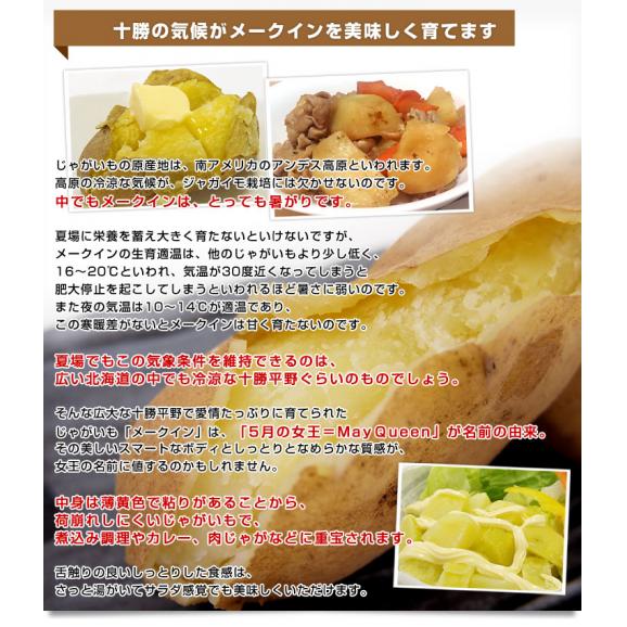 北海道より産地直送 北海道十勝産 じゃがいもメークイン 大小込 約10キロ めーくいん 送料無料06