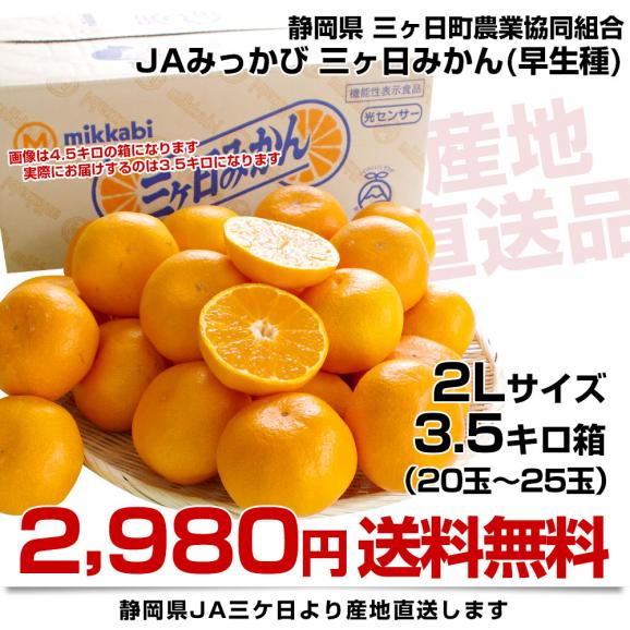 静岡県より産地直送 JAみっかび 三ケ日みかん (早生品種) 大玉2Lサイズ 3.5キロ 送料無料 三ヶ日 みつかび ミカン 温州みかん03
