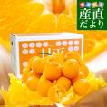 愛媛県より産地直送 JAにしうわ 甘平 (かんぺい) 良品 3LからLサイズ 5キロ (16玉から28玉) 送料無料カンペイ 西宇和