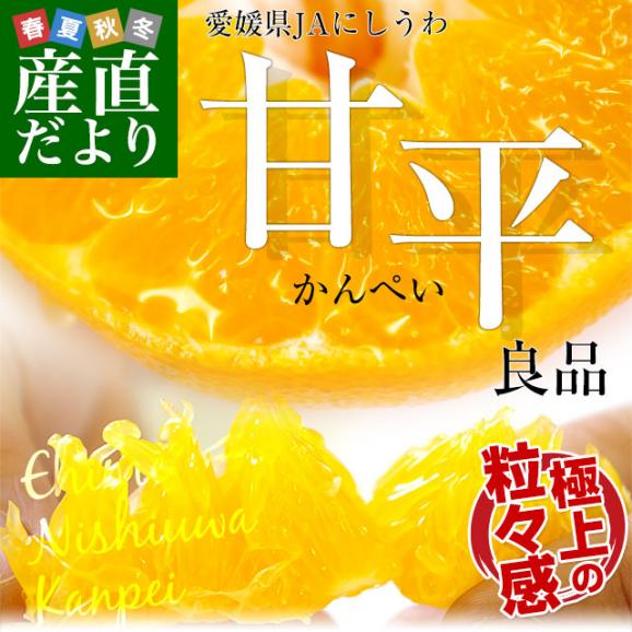 愛媛県より産地直送 JAにしうわ 甘平 (かんぺい) 良品 3LからLサイズ 5キロ (16玉から28玉) 送料無料カンペイ 西宇和02