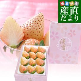 熊本県より産地直送　西谷農園の白いちご 淡雪（あわゆき）　約400g（9粒から15粒）化粧箱入り 苺 イチゴ 送料無料