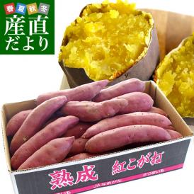 茨城県より産地直送 JAなめがたしおさい さつまいも「熟成紅こがね」 Mサイズ 約5キロ（18本前後） 送料無料 行方 薩摩芋
