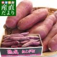 茨城県より産地直送 JAなめがたしおさい さつまいも「熟成紅こがね」 Sサイズ 約5キロ（25本から30本） 送料無料 行方 薩摩芋