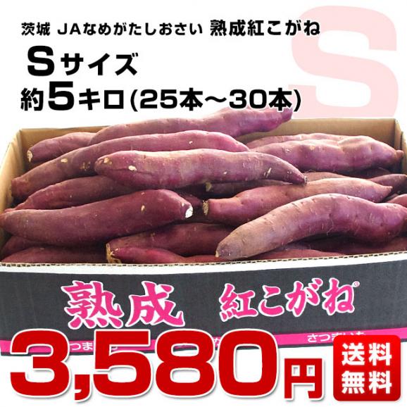 茨城県より産地直送 JAなめがたしおさい さつまいも「熟成紅こがね」 Sサイズ 約5キロ（25本から30本） 送料無料 行方 薩摩芋03