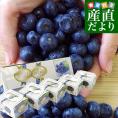 岩手県より産地直送 JAいわて中央 ブルーベリー 大粒 2Lサイズ750g（150g×5P） 送料無料 ぶるーべりー ※クール