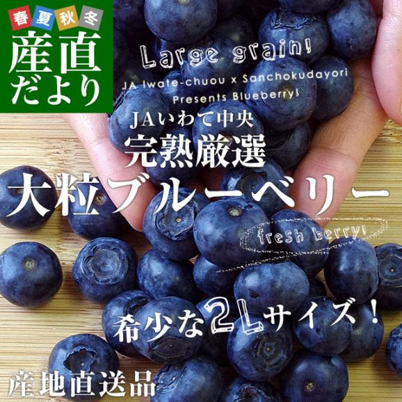 岩手県より産地直送 JAいわて中央 ブルーベリー 大粒 2Lサイズ750g（150g×5P） 送料無料 ぶるーべりー ※クール02