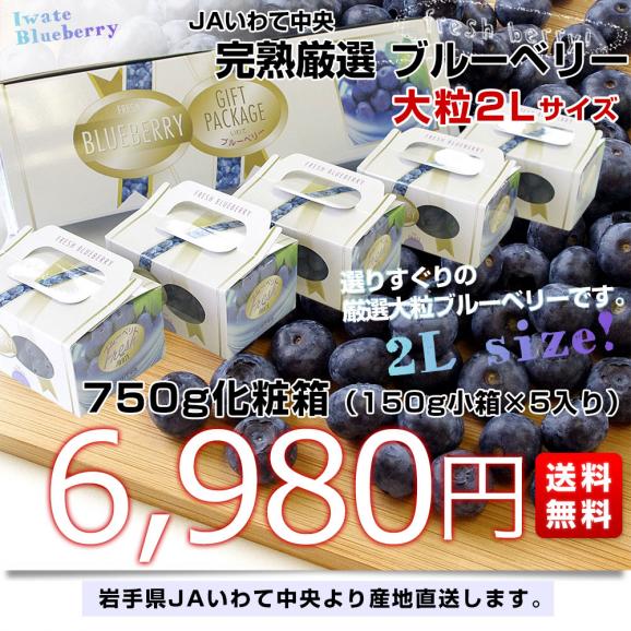 岩手県より産地直送 JAいわて中央 ブルーベリー 大粒 2Lサイズ750g（150g×5P） 送料無料 ぶるーべりー ※クール03