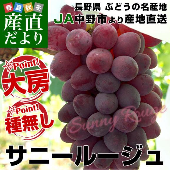 送料無料 長野県より産地直送 JA中野市 サニールージュ 1.2キロ (2房から4房) ぶどう 葡萄 ※クール便02