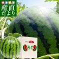山形県より産地直送 厳選農家の尾花沢スイカ 5L 秀品 A品 大玉 (約10キロ×1玉) すいか 西瓜 送料無料