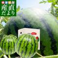 送料無料 山形県より産地直送 厳選農家の尾花沢スイカ 3Lから4L 秀品 A品 8キロ以上×2玉 すいか 西瓜