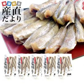 送料無料　北海道産　コマイ（氷下魚）の氷温乾燥一夜干し　約1キロ（200g×5袋）