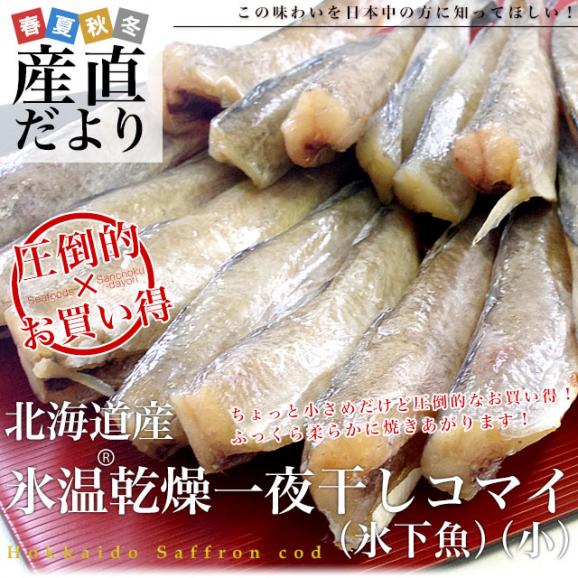 送料無料　北海道産　コマイ（氷下魚）の氷温乾燥一夜干し　約1キロ（200g×5袋）02