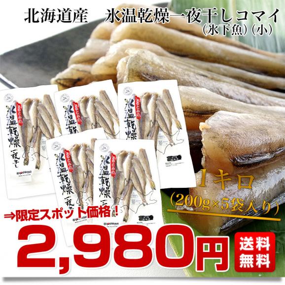 北海道産　コマイ（氷下魚）の氷温乾燥一夜干し　約1キロ（200g×5袋） 送料無料03