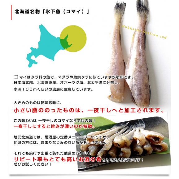 送料無料　北海道産　コマイ（氷下魚）の氷温乾燥一夜干し　約1キロ（200g×5袋）06