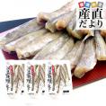 北海道産　コマイ（氷下魚）の氷温乾燥一夜干し　約600g（200g×3袋） 送料無料