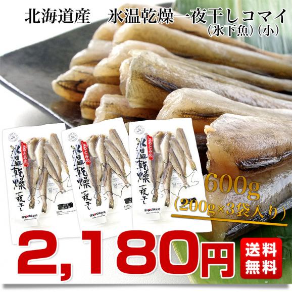 北海道産　コマイ（氷下魚）の氷温乾燥一夜干し　約600g（200g×3袋） 送料無料03
