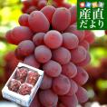 岡山県より産地直送 JA晴れの国岡山津山支所 紫苑（しえん） 秀品 2キロ（3房から5房） 送料無料 葡萄 ぶどう ブドウ