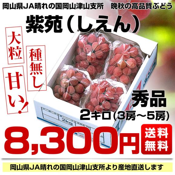 岡山県より産地直送 JA晴れの国岡山津山支所 紫苑（しえん） 秀品 2キロ（3房から5房） 送料無料 葡萄 ぶどう ブドウ03