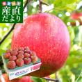 岩手県より産地直送 JAいわて中央 プレミアム サンふじりんご 特秀品 5キロ(14玉から18玉) 林檎 リンゴ  送料無料
