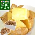 北海道より産地直送 北海道十勝産 じゃがいも男爵 大小込 約10キロ だんしゃく 送料無料