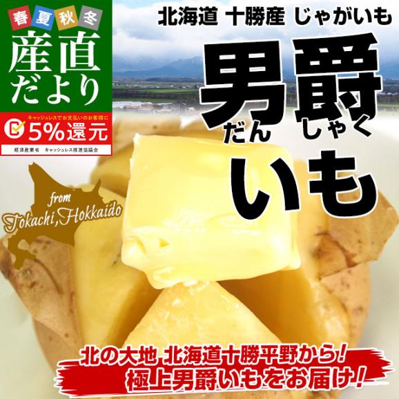 北海道より産地直送 北海道十勝産 じゃがいも男爵 大小込 約10キロ だんしゃく 送料無料02