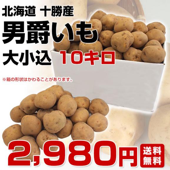 北海道より産地直送 北海道十勝産 じゃがいも男爵 大小込 約10キロ だんしゃく 送料無料03