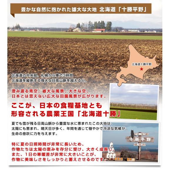 北海道より産地直送 北海道十勝産 じゃがいも男爵 大小込 約10キロ だんしゃく 送料無料05