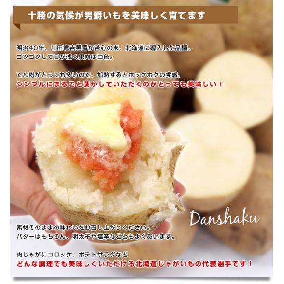 北海道より産地直送 北海道十勝産 じゃがいも男爵 大小込 約10キロ だんしゃく 送料無料06