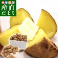 北海道より産地直送 北海道十勝産 じゃがいもキタアカリ 大小込 約10キロ きたあかり 送料無料