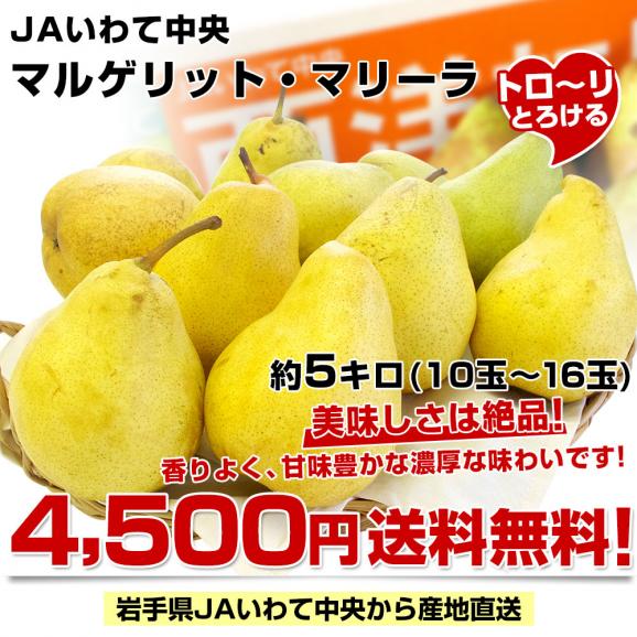 岩手県より産地直送 JAいわて中央 洋梨 マルゲリット・マリーラ 5キロ（10玉から16玉） なし ナシ 送料無料03