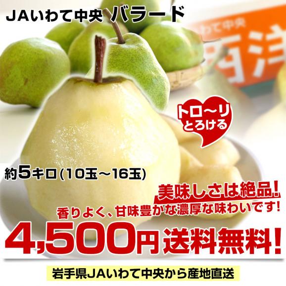 岩手県より産地直送 JAいわて中央 洋梨 バラード 5キロ（10玉から16玉） なし ナシ 送料無料03