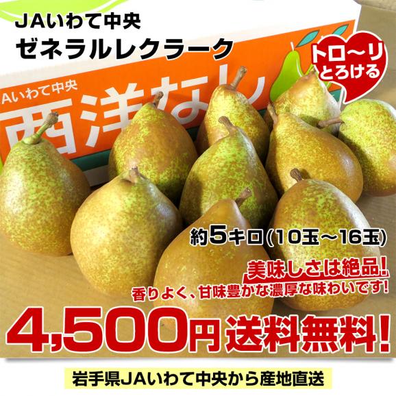 岩手県より産地直送 JAいわて中央 洋梨 ゼネラルレクラーク5キロ(10玉から16玉) なし ナシ 送料無料03