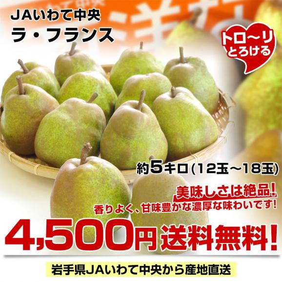 岩手県より産地直送 JAいわて中央 洋梨 ラフランス 5キロ(12 玉から18玉) なし ナシ 送料無料03